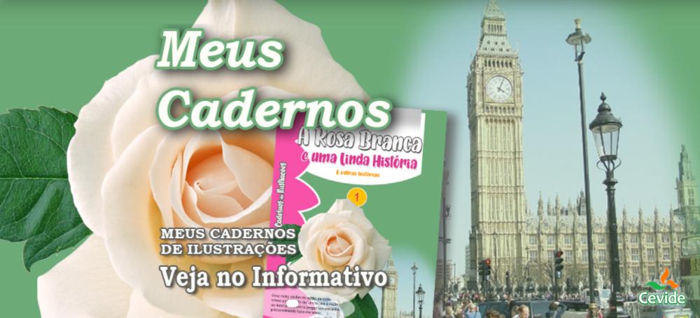 Meus Cadernos de Ilustrações
