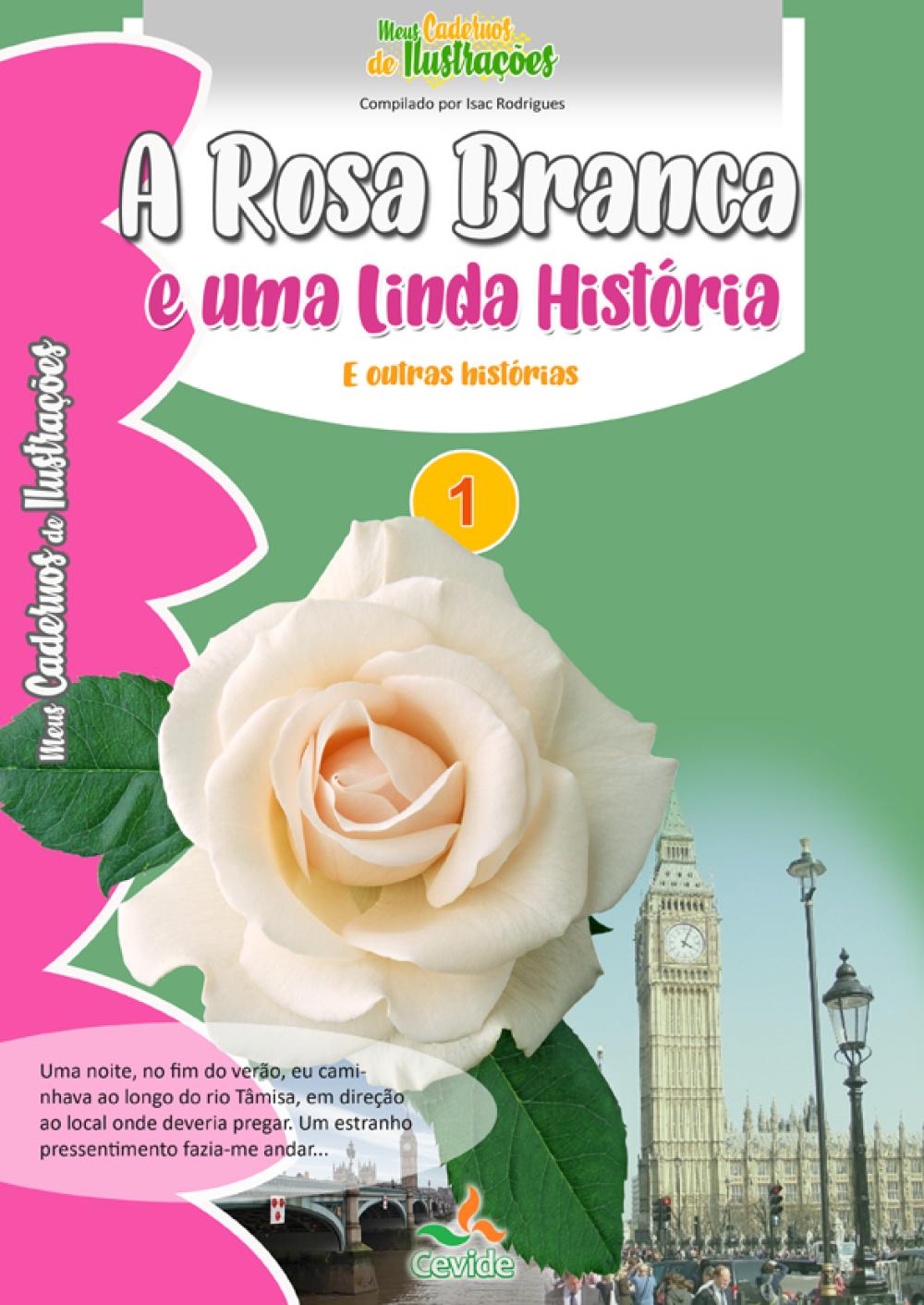 Meus Cadernos de Ilustrações