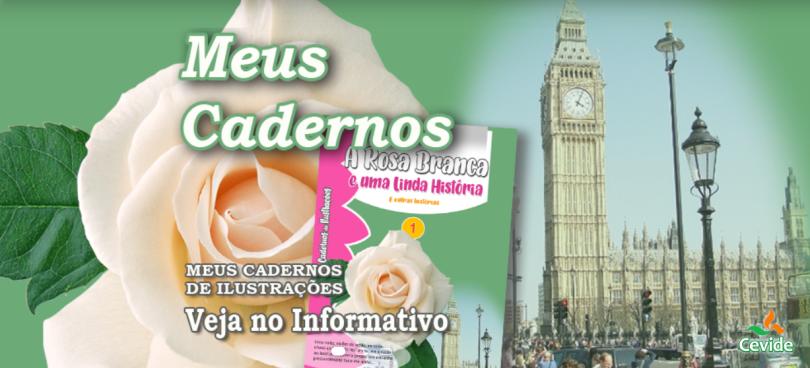 Meus Cadernos de Ilustrações